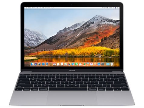 MacBook Retinaディスプレイ 1200/12 MNYF2J/A [スペースグレイ]の通販 ...