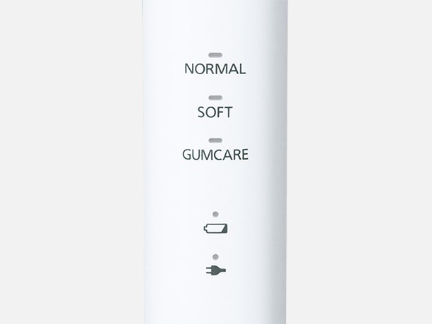 パナソニック Panasonic 音波振動ハブラシ ドルツ ホワイト EW-DL54-W