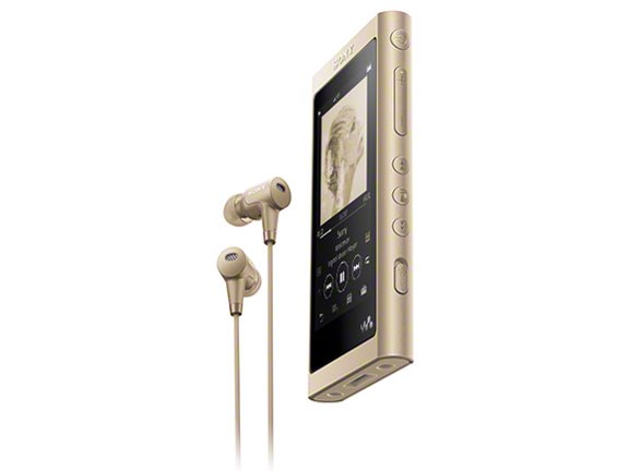 Sony NW-A55 ゴールド デジタルオーディオプレーヤー おとなしく