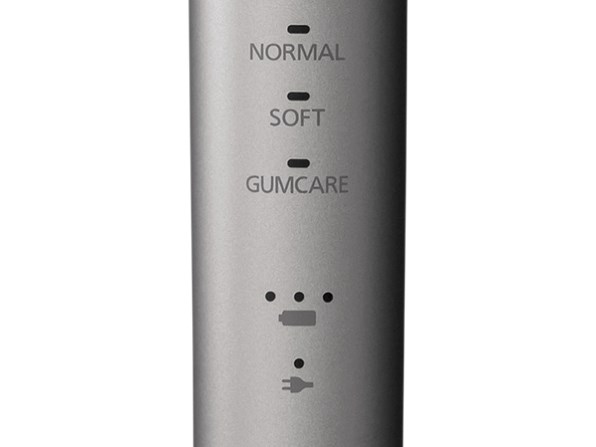 Panasonic ドルツ EW-DA44-H GRAY パナソニック Panasonic 電動歯ブラシ Doltz (ドルツ) グレー EW