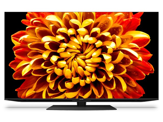 シャープ SHARP AQUOS アクオス XLED 4Kテレビ 55V型 4TC55DP1の通販