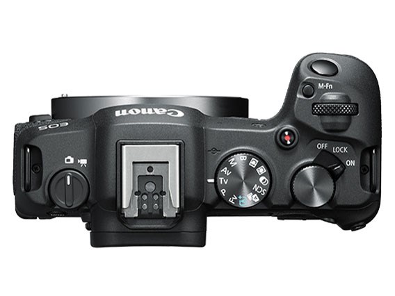 EOS R8 ボディの通販なら: パニカウ [Kaago(カーゴ)]