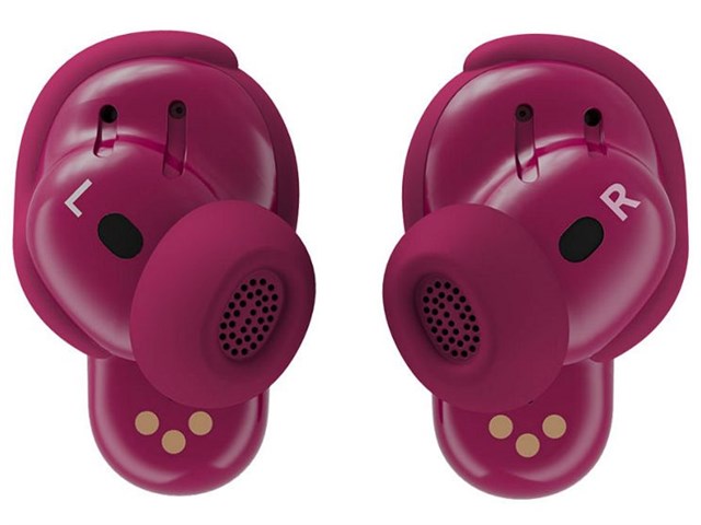 QuietComfort Ultra Earbuds 第2世代 [Deep Plum]の通販なら: 測定の森